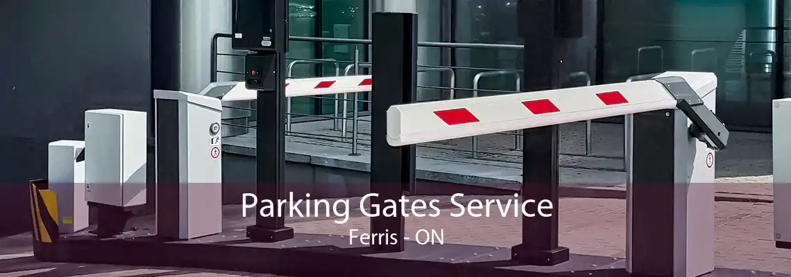 Parking Gates Service Ferris - ON