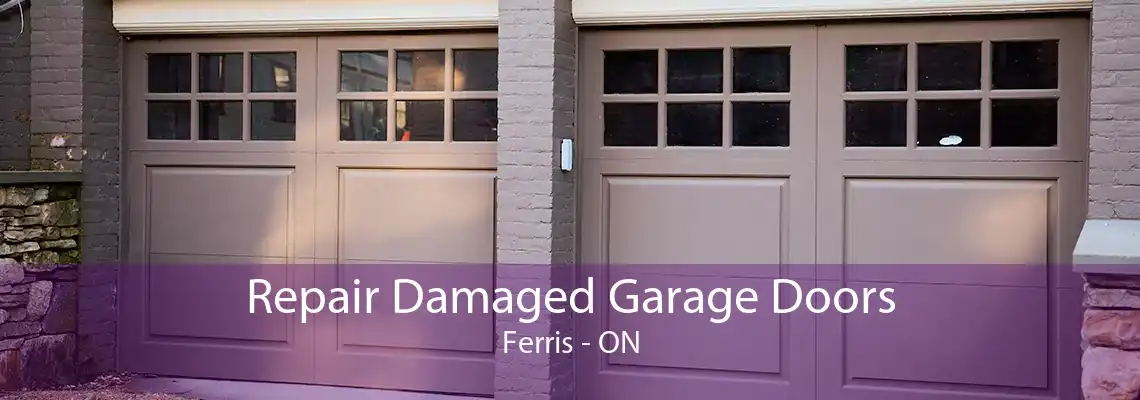 Repair Damaged Garage Doors Ferris - ON