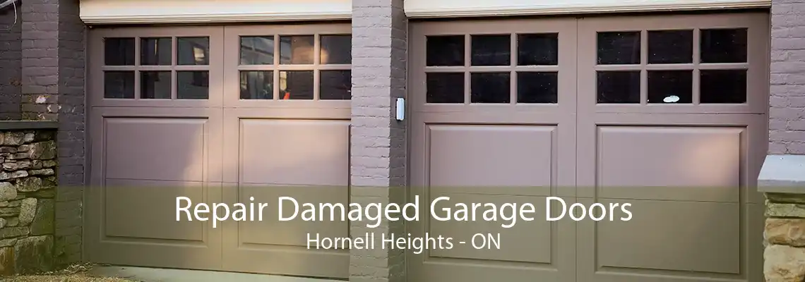 Repair Damaged Garage Doors Hornell Heights - ON