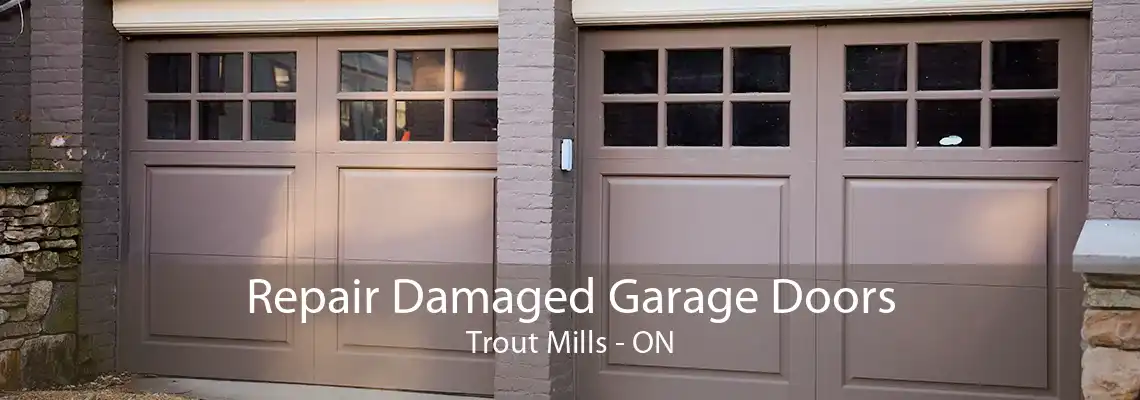 Repair Damaged Garage Doors Trout Mills - ON