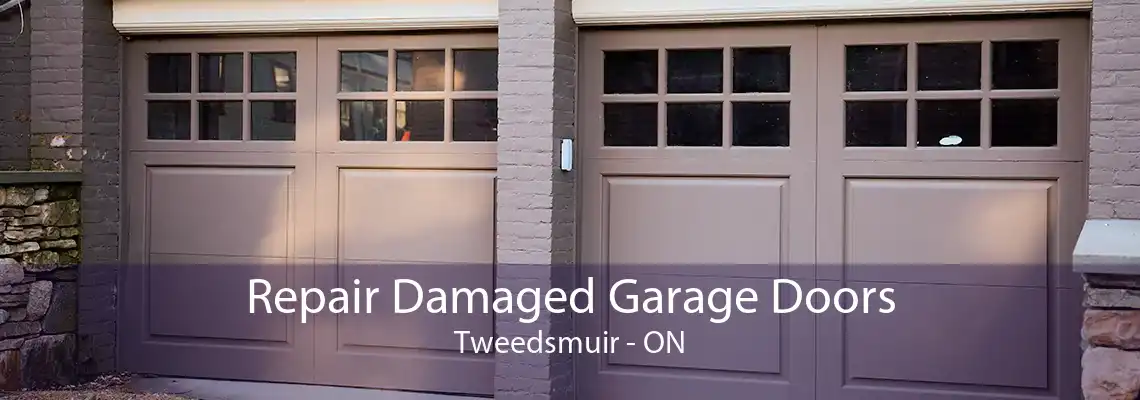 Repair Damaged Garage Doors Tweedsmuir - ON