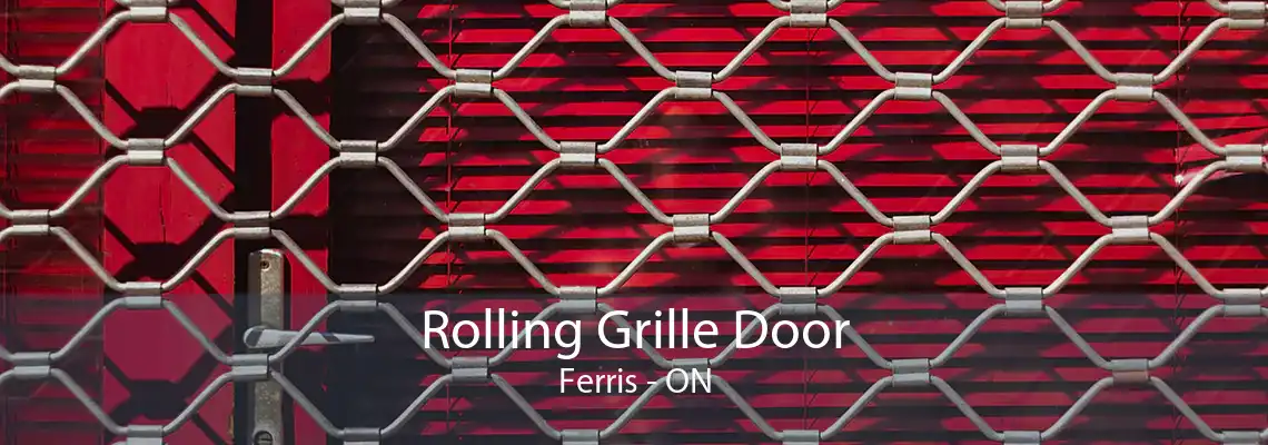 Rolling Grille Door Ferris - ON