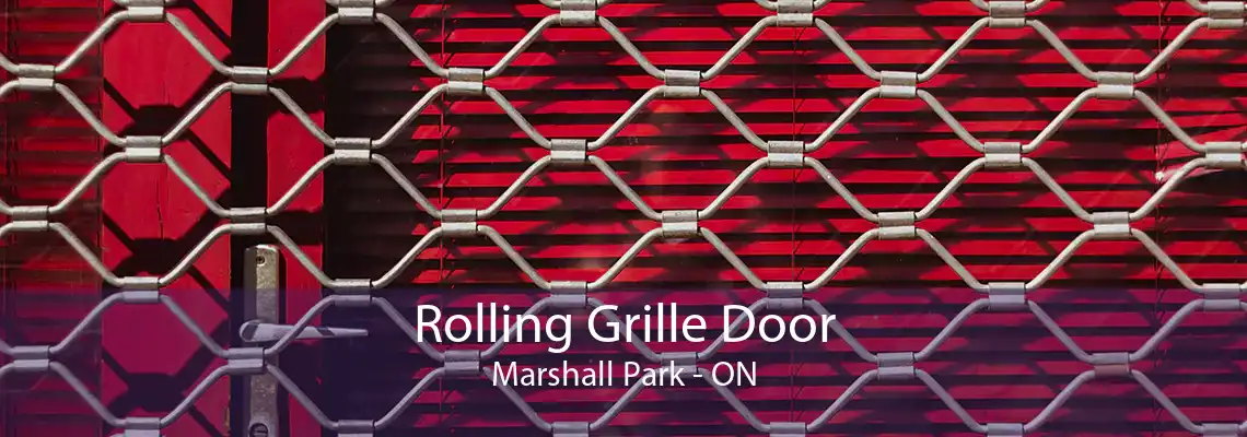 Rolling Grille Door Marshall Park - ON