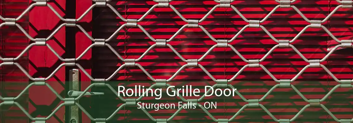 Rolling Grille Door Sturgeon Falls - ON
