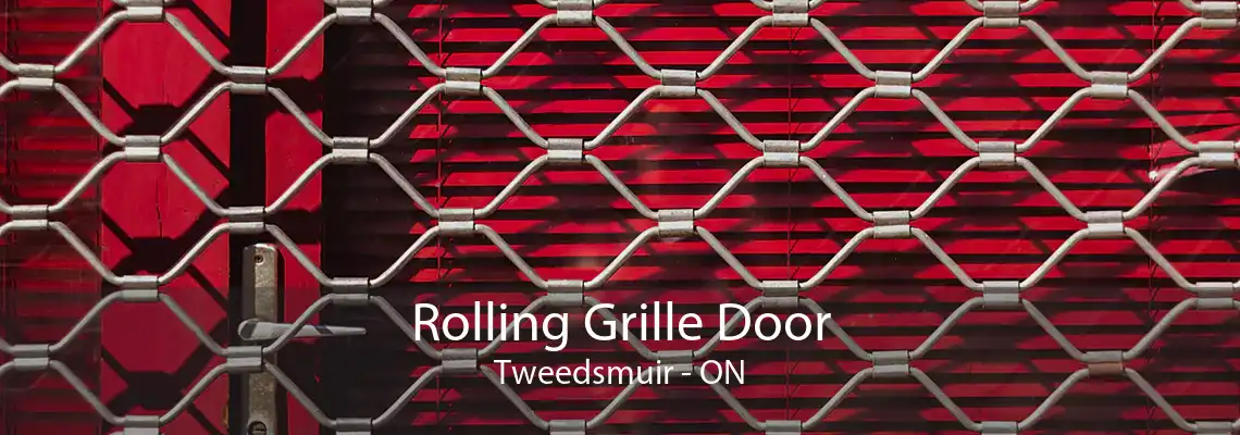 Rolling Grille Door Tweedsmuir - ON