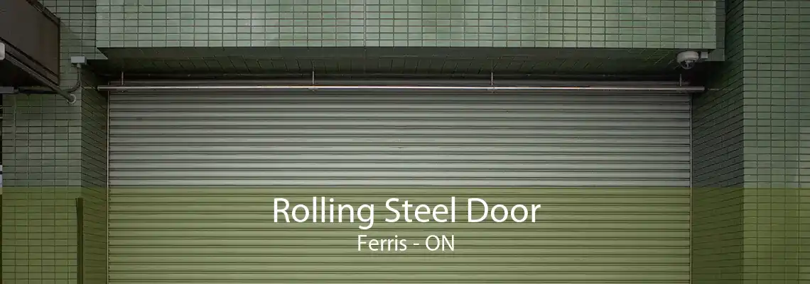 Rolling Steel Door Ferris - ON