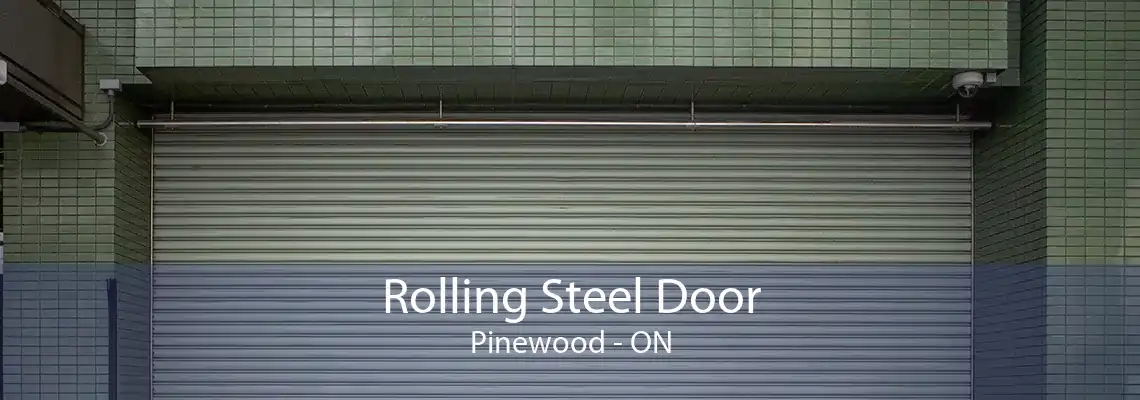 Rolling Steel Door Pinewood - ON