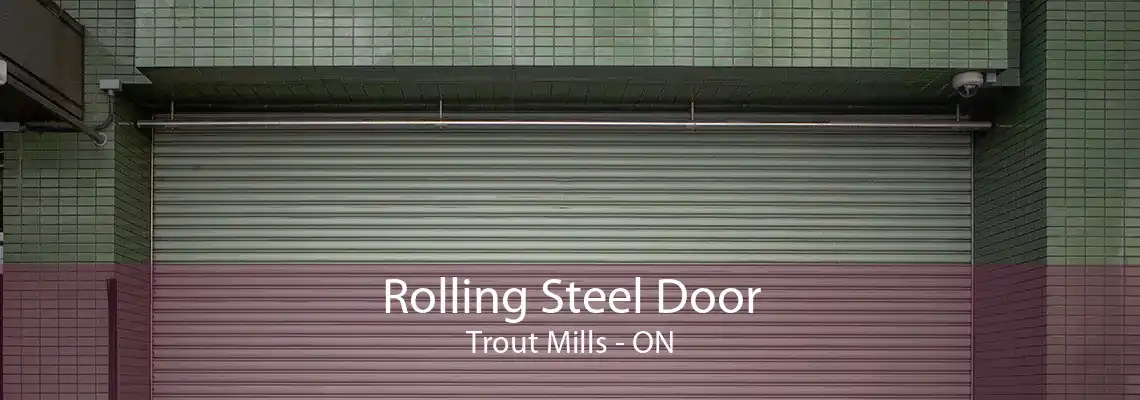 Rolling Steel Door Trout Mills - ON