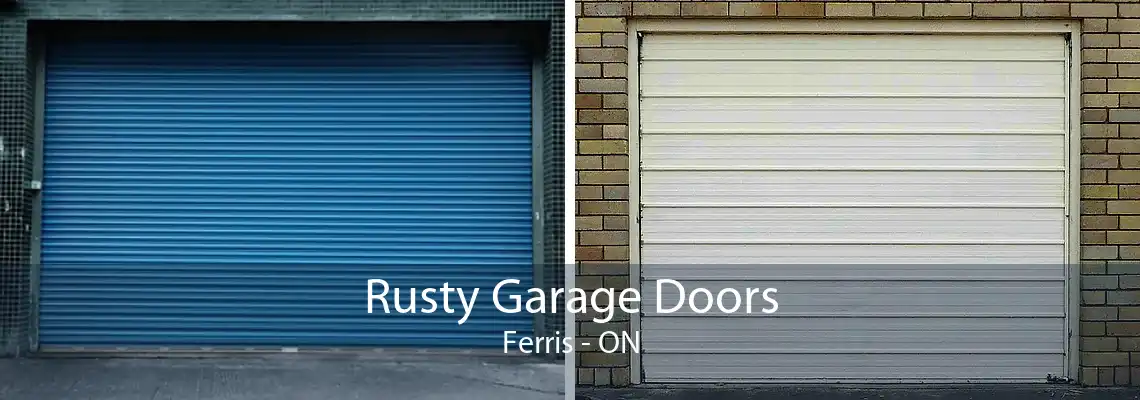 Rusty Garage Doors Ferris - ON