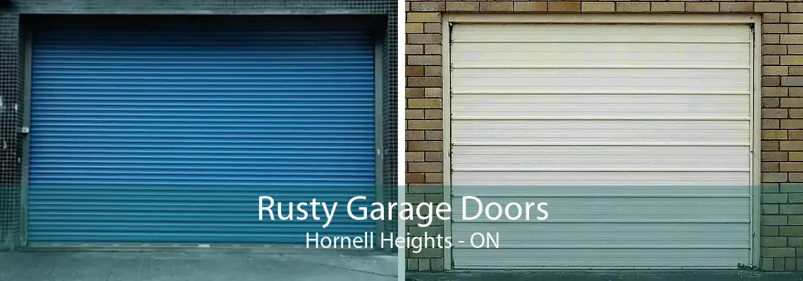 Rusty Garage Doors Hornell Heights - ON