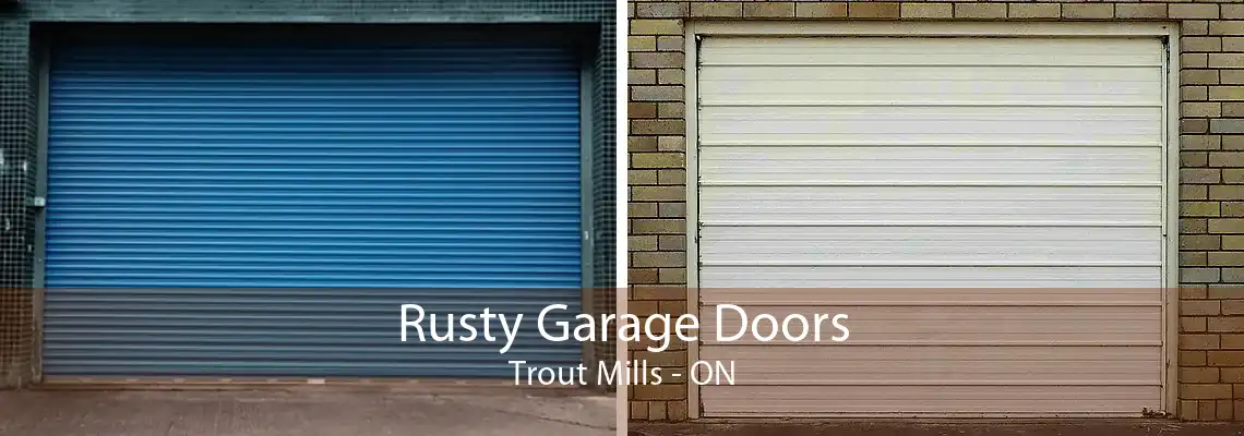 Rusty Garage Doors Trout Mills - ON