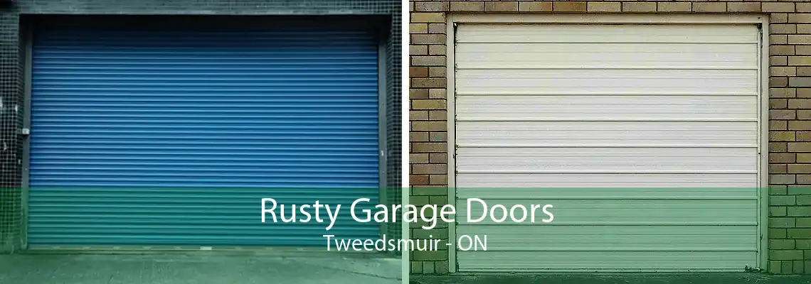 Rusty Garage Doors Tweedsmuir - ON