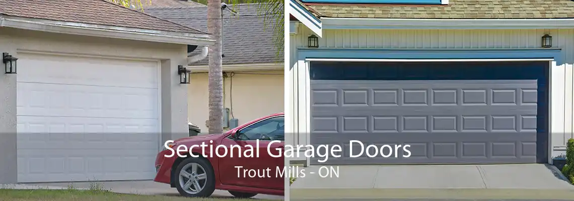 Sectional Garage Doors Trout Mills - ON
