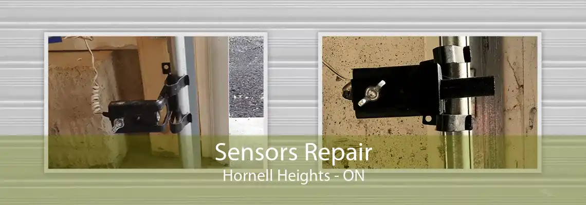 Sensors Repair Hornell Heights - ON