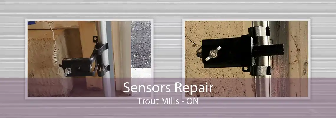 Sensors Repair Trout Mills - ON