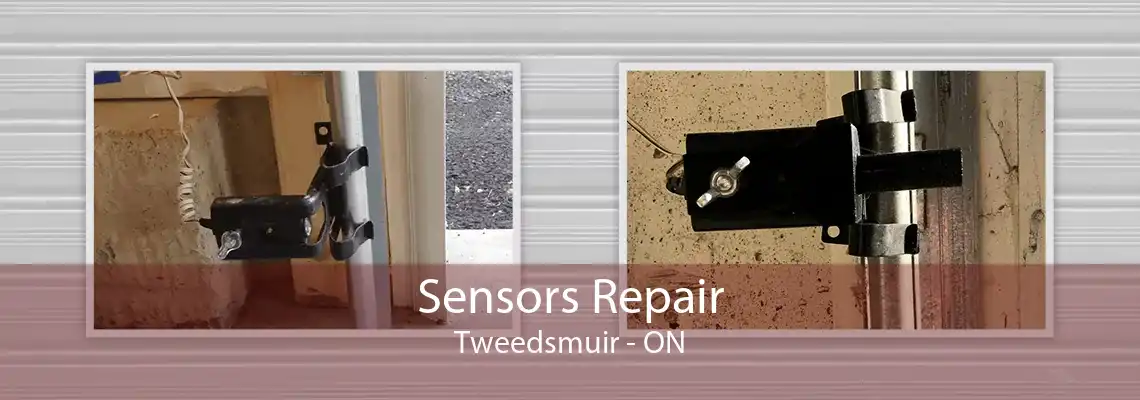 Sensors Repair Tweedsmuir - ON