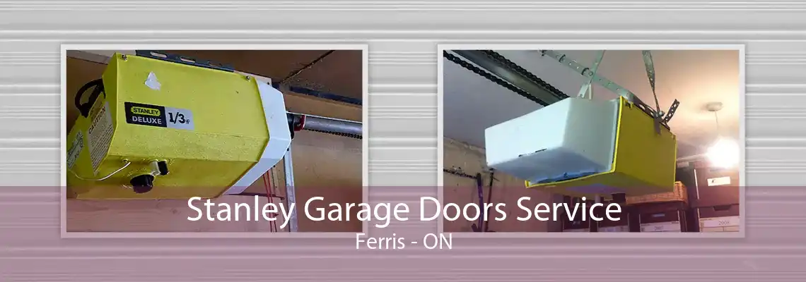 Stanley Garage Doors Service Ferris - ON
