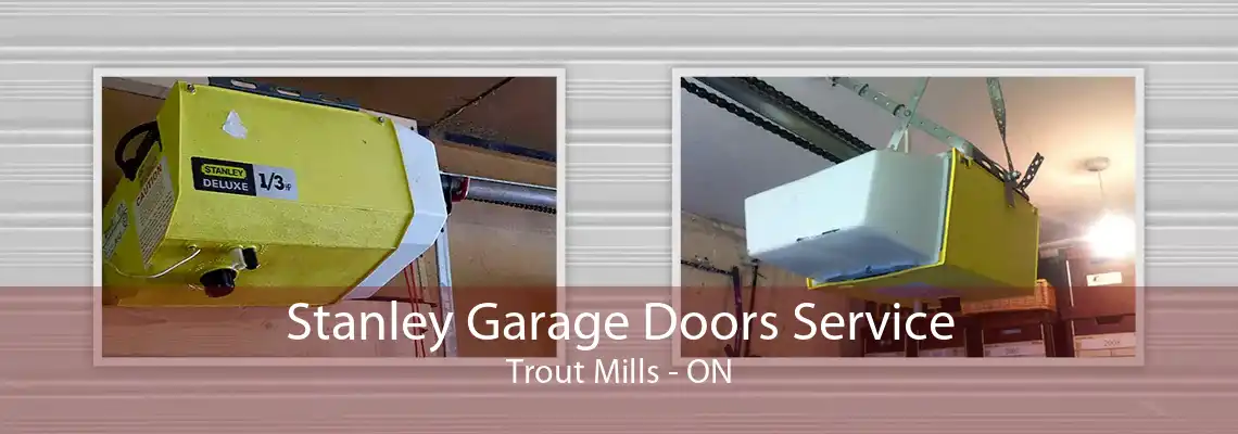 Stanley Garage Doors Service Trout Mills - ON